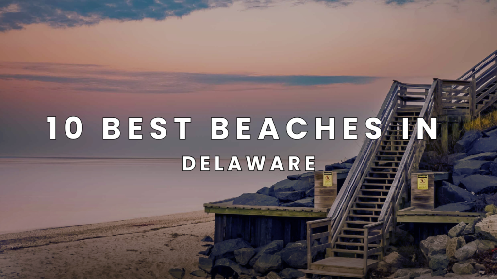 10 Best Beaches in Delaware