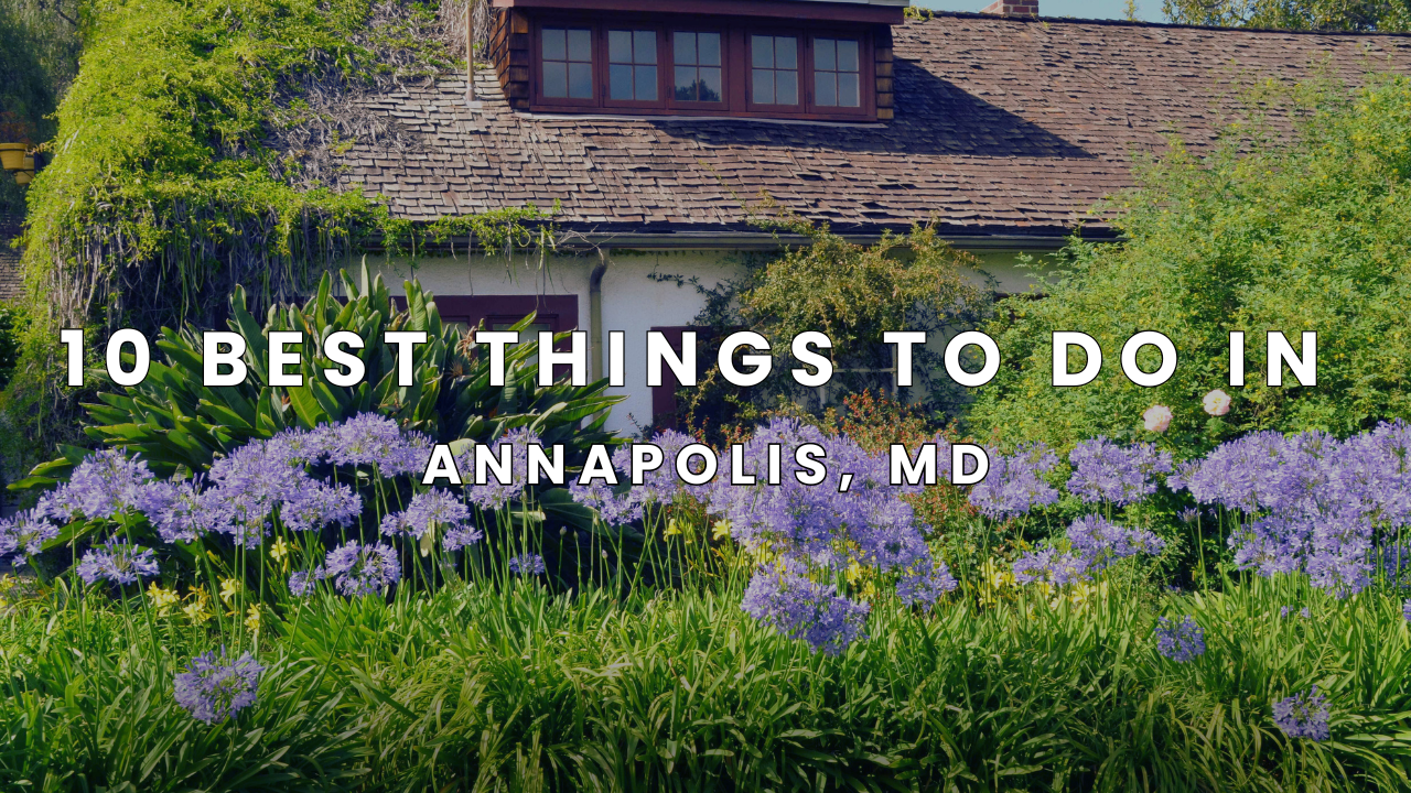 10 Best Things to Do in Annapolis, MD