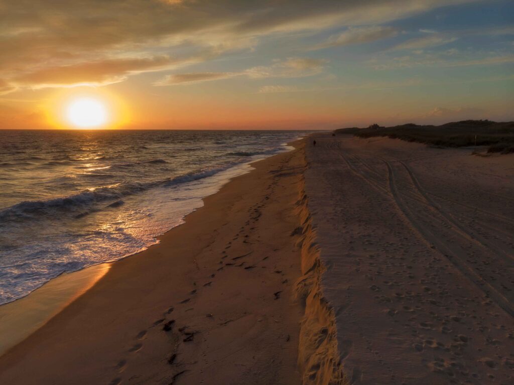 Cape Henlopen State Park 