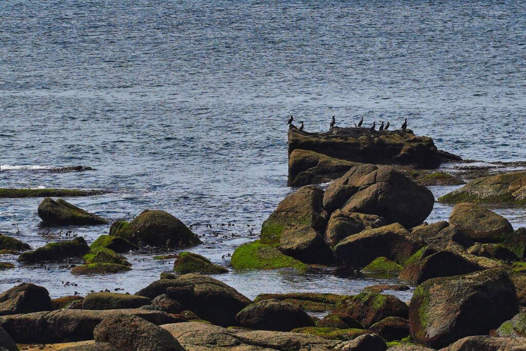 Goose Rocks Beach 