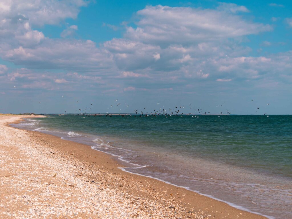 Lewes Beach