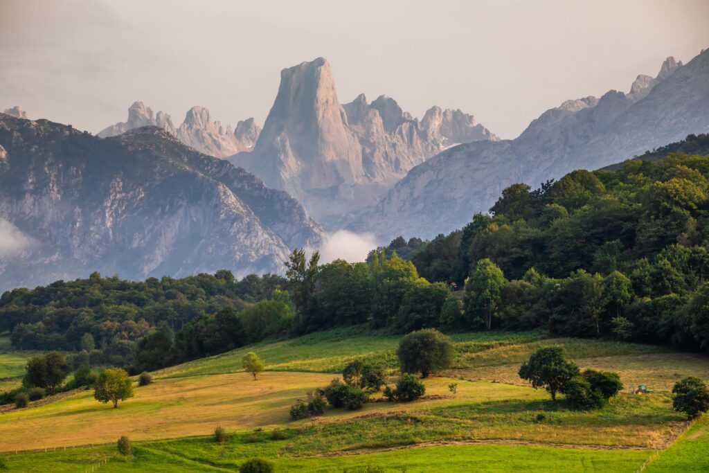 Picos de Europa National Park