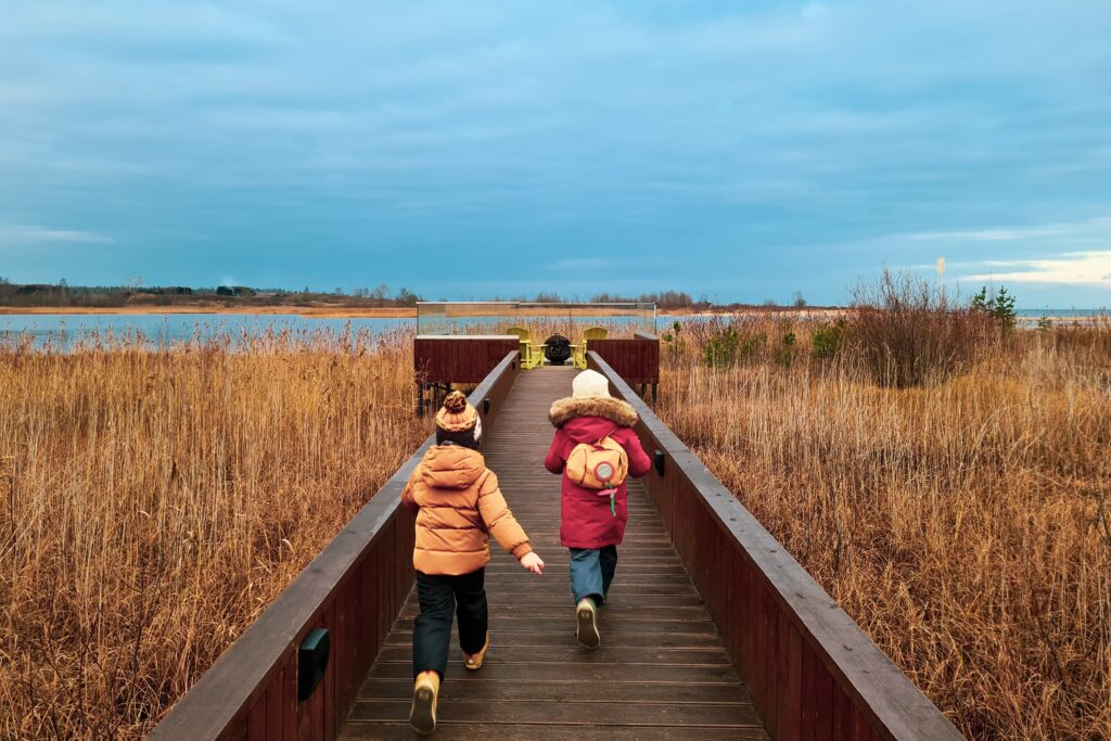 Rachel Carson National Wildlife Refuge 