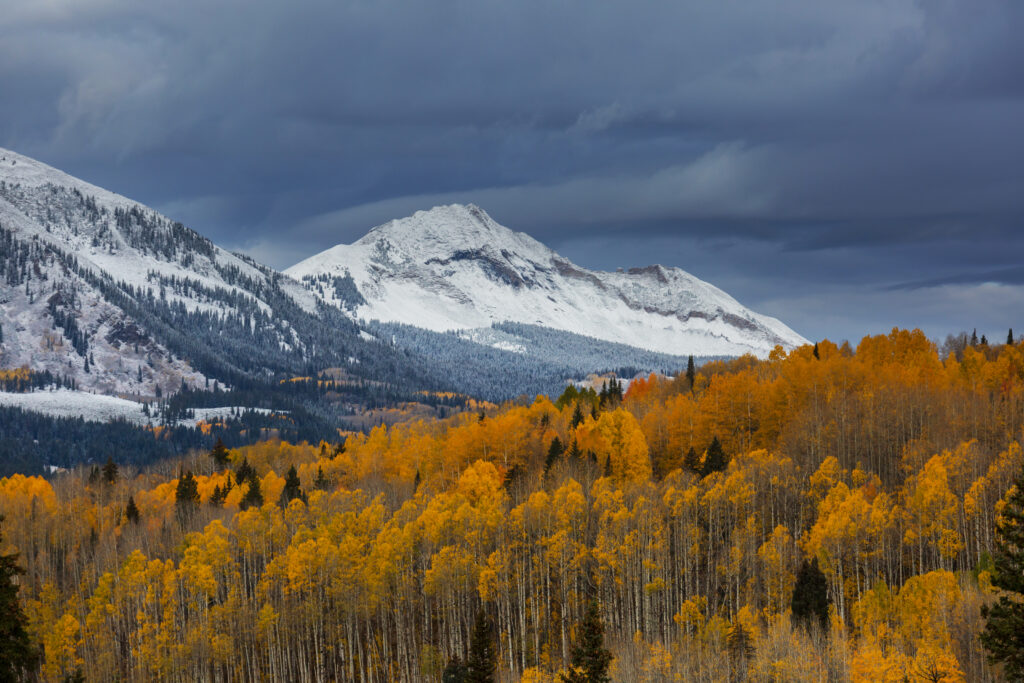 Crested Butte – The Wildflower Capital of Colorado